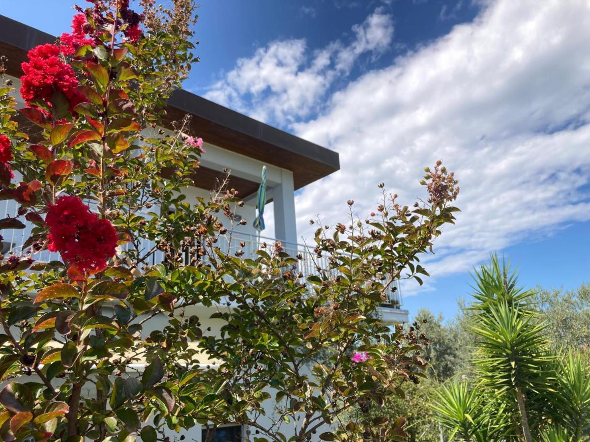Gioia In Collina Bed & Breakfast Torrevecchia Teatina Exterior photo