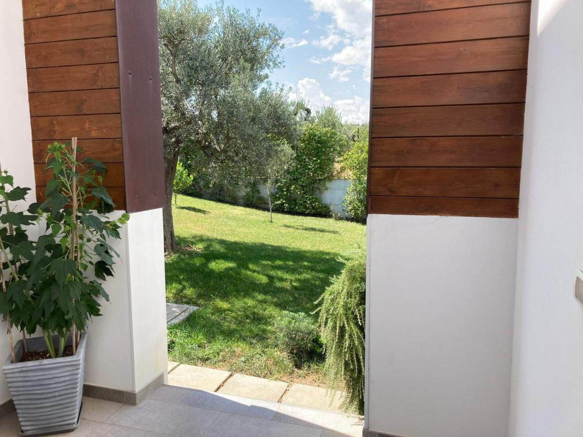 Gioia In Collina Bed & Breakfast Torrevecchia Teatina Exterior photo