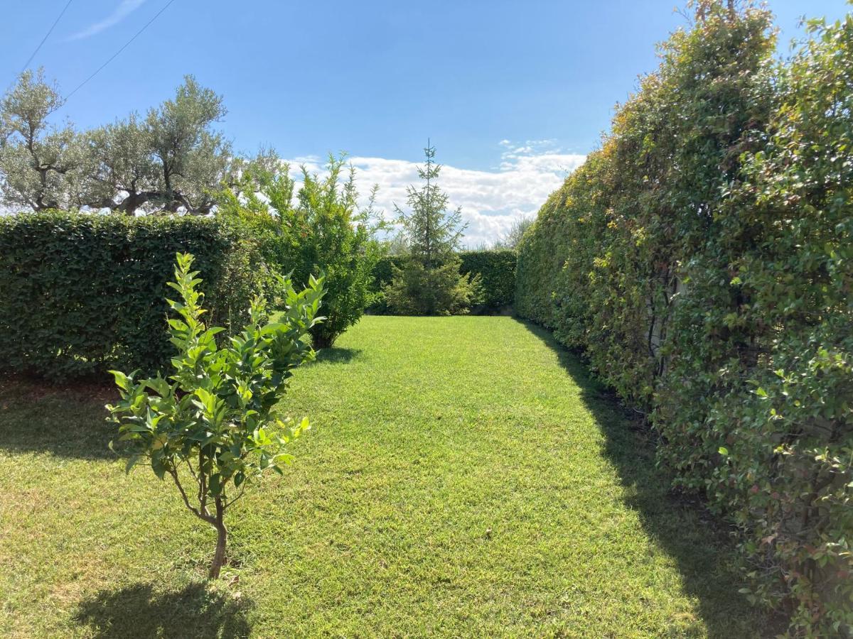 Gioia In Collina Bed & Breakfast Torrevecchia Teatina Exterior photo
