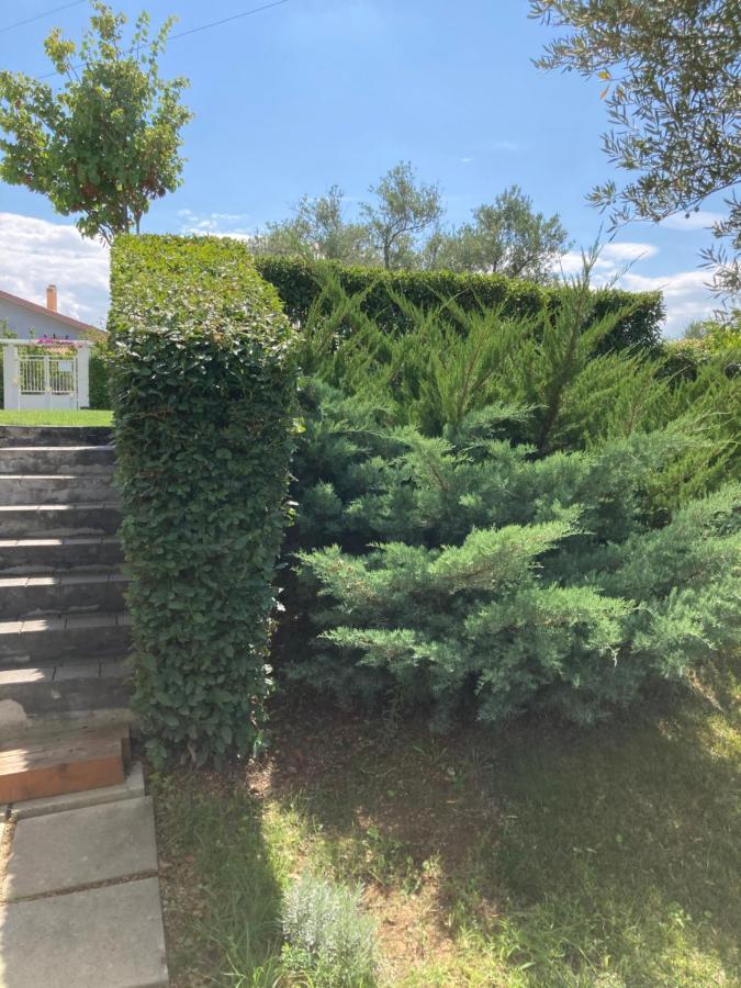 Gioia In Collina Bed & Breakfast Torrevecchia Teatina Exterior photo