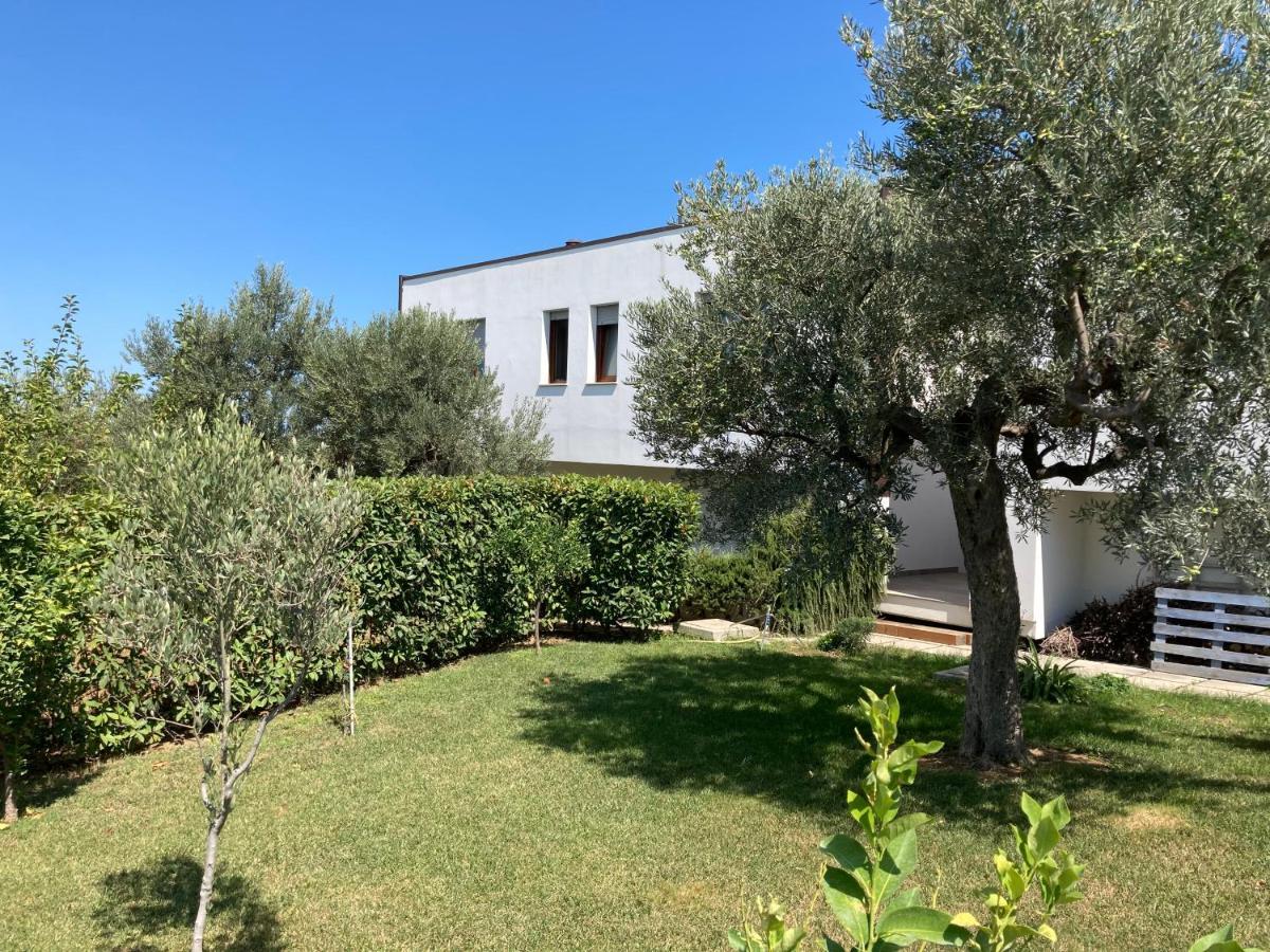 Gioia In Collina Bed & Breakfast Torrevecchia Teatina Exterior photo