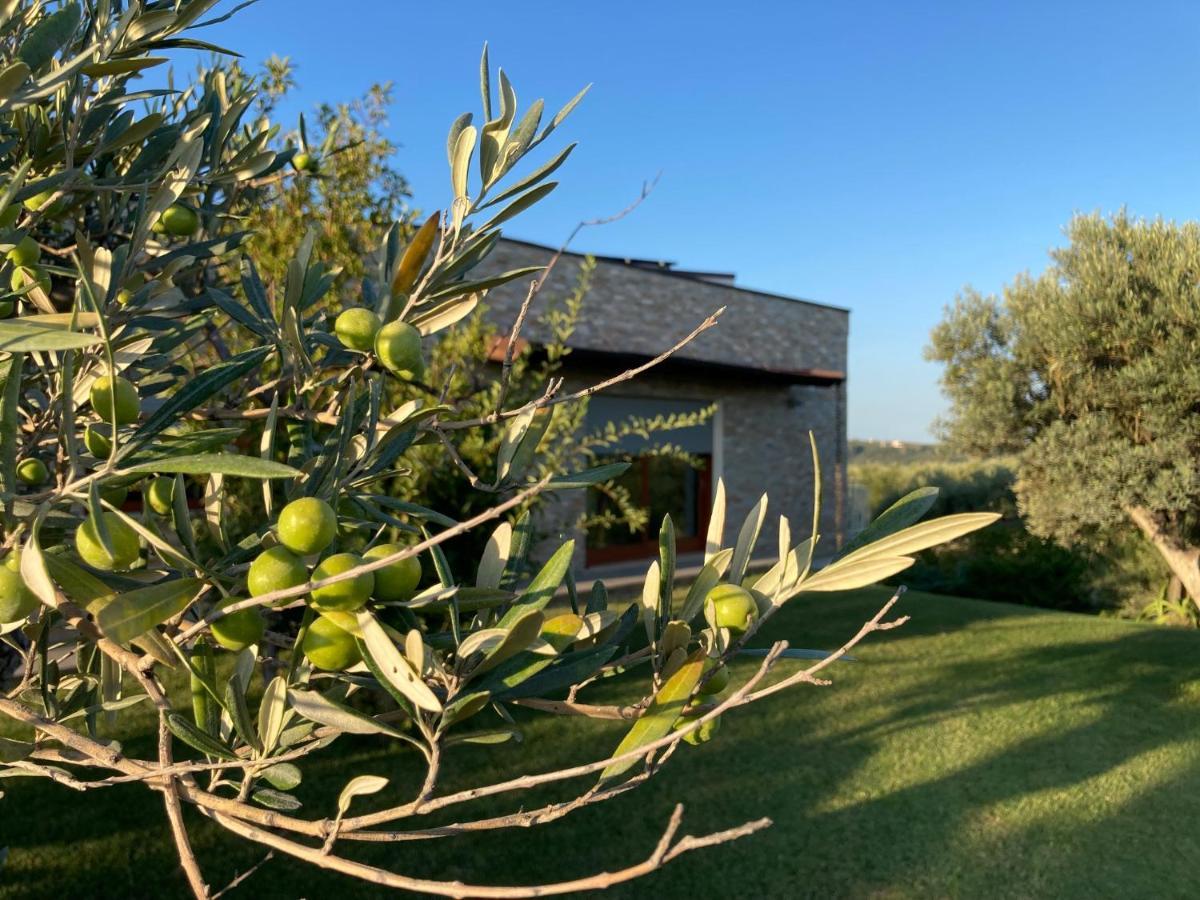Gioia In Collina Bed & Breakfast Torrevecchia Teatina Exterior photo