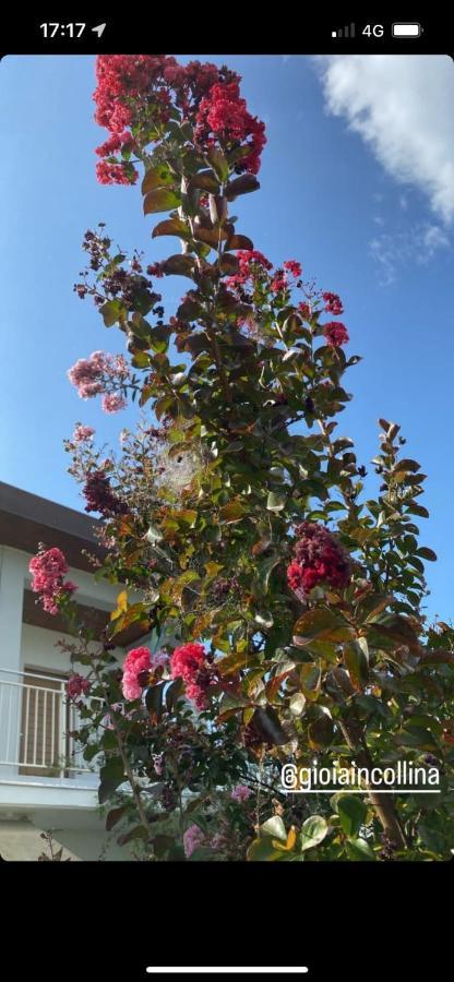 Gioia In Collina Bed & Breakfast Torrevecchia Teatina Exterior photo